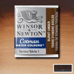 WINSOR Godet Ombra bruciata