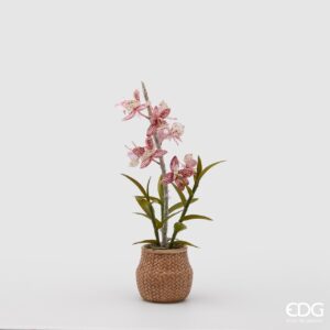 EDG - Fiore artificiale Orchidea dendrobium con vaso cesto h.47 cm