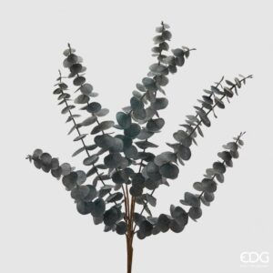 EDG - Ramo di eucalipto