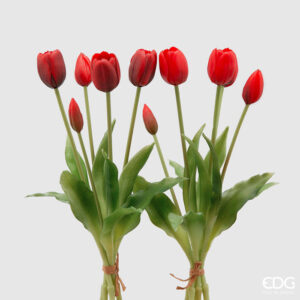 EDG - Bouquet di tulipani con sfumatura nera