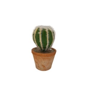 EDG - Cactus artificiale