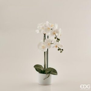 EDG - Orchidea Phal Pianta Bianca con Vaso d.12 h.66