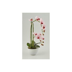 EDG - Fiore artificiale Orchidea Phalaenopsis Rosa in vaso da fiori