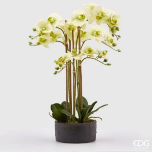 EDG - Fiore artificiale Orchidea Phalaenopsis Real con Vaso Ramo