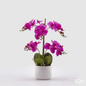 EDG - Orchidea Farfalla con foglie e vaso H38 / Fucsia