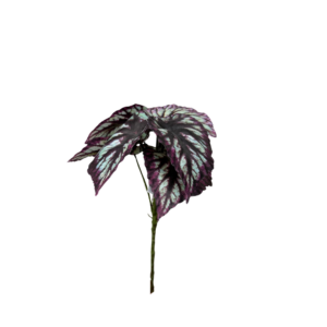 EDG - Pianta artificiale begonia rex