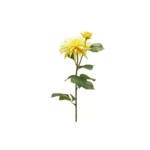 EDG - Dalia con ramo con bocciolo giallo