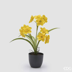 EDG - Narciso giallo con vaso h 34 cm
