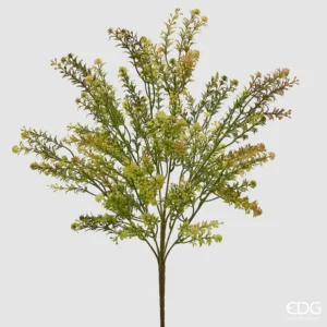 EDG - Cespuglio di erba palustre