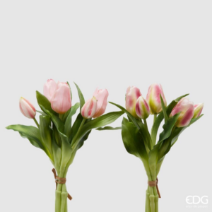 EDG - Bouquet 5 Tulipani Olis Rosa Baby e Rosa Sfumato Assortiti H 28 cm